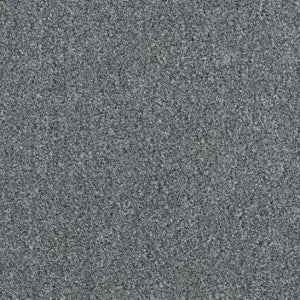 Soft Gray Aqualoc&reg; carpet texture