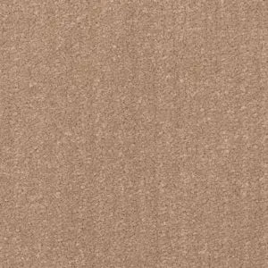 Tan Aqualoc&reg; carpet texture